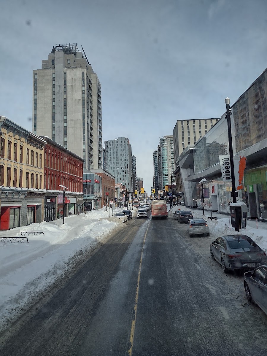 73 Rideau St building view